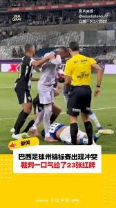 迈阿密足球与飓风季的挑战与机遇